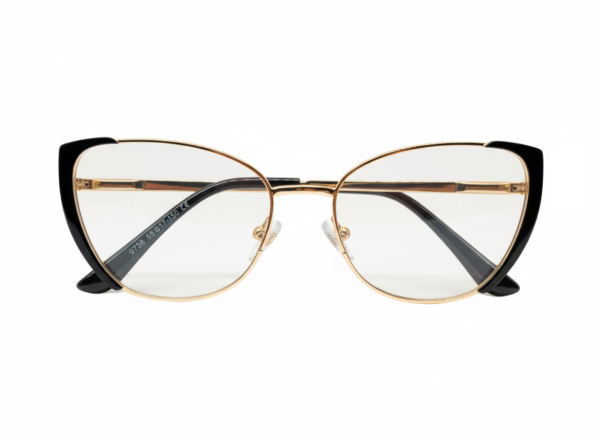 20.3. LP-AL-F Affiche Lunettes 3-en-1 Anti-lumière bleue pour femme : Photochromiques • Anti-lumière bleue • Anti-reflets & anti-éblouissement